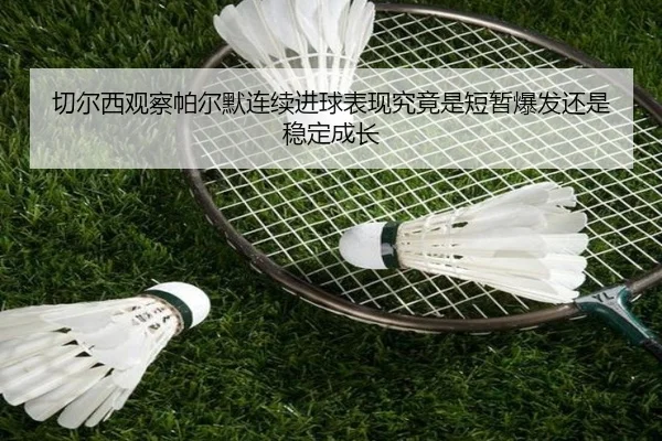 img_1782835864009_3645_1_493.jpg
